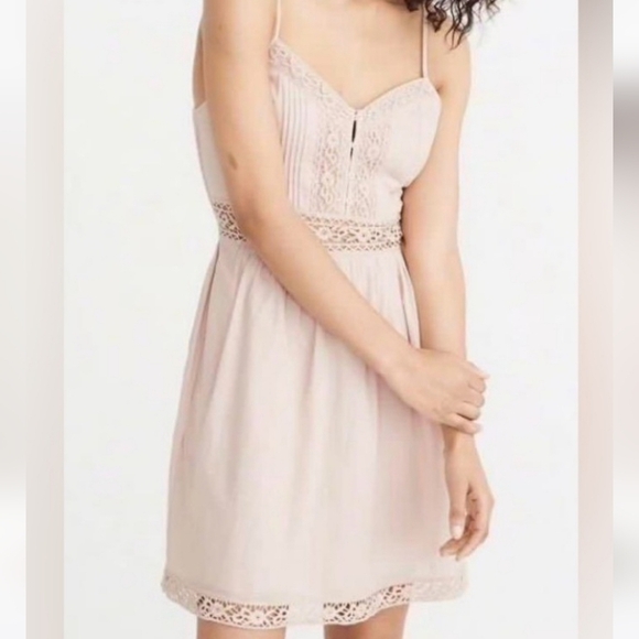 Abercrombie & Fitch Dresses & Skirts - Abercrombie & Fitch Lace Pieced Skater Dress in Blush Pink XL